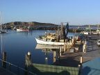 Prawn Boats.JPG (51 KB)